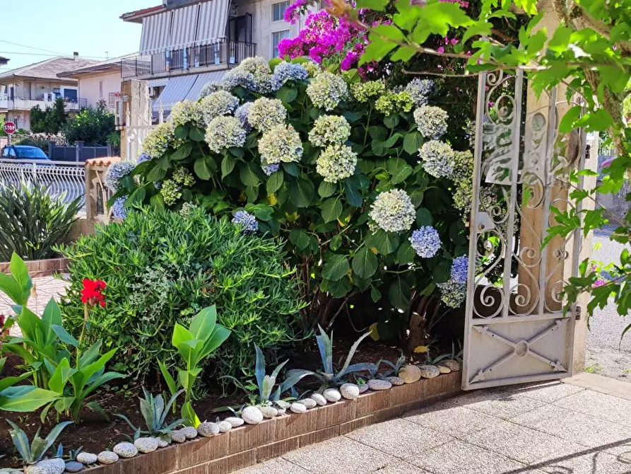Immagine 3 di Appartamento in vendita  in Via DELLE ROSE, 4 a Girifalco