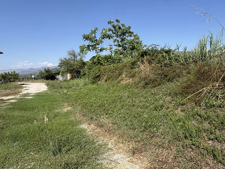 Immagine 5 di Appartamento in vendita  in Strada CAPO DEI BUFALI, 1 a Terracina