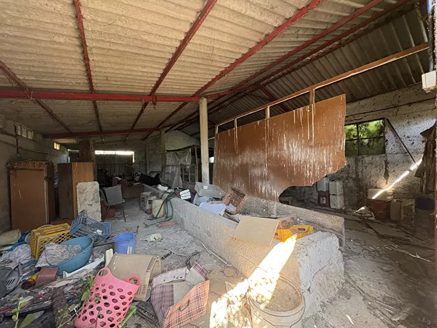 Immagine 14 di Appartamento in vendita  in Strada CAPO DEI BUFALI, 1 a Terracina