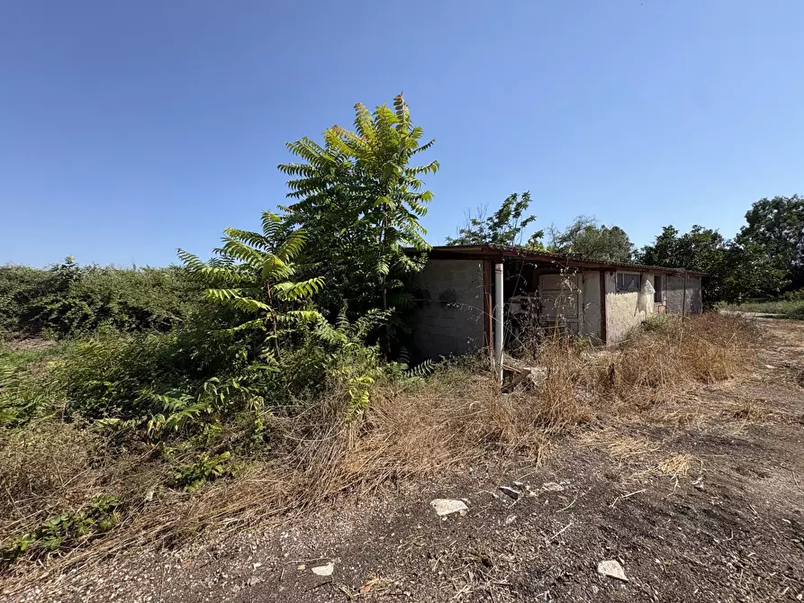 Immagine 17 di Appartamento in vendita  in Strada CAPO DEI BUFALI, 1 a Terracina