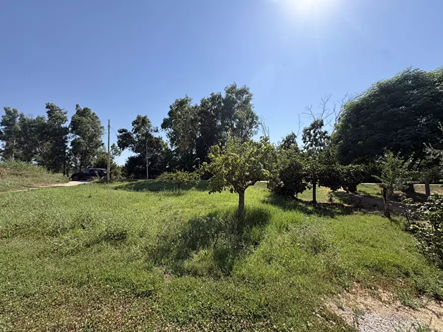 Immagine 24 di Appartamento in vendita  in Strada CAPO DEI BUFALI, 1 a Terracina