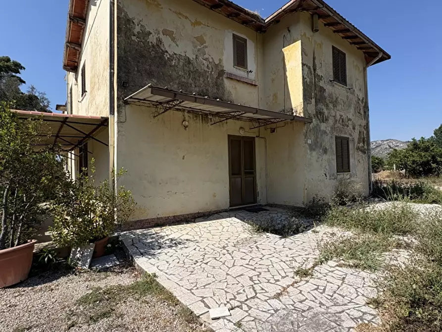 Immagine 26 di Appartamento in vendita  in Strada CAPO DEI BUFALI, 1 a Terracina