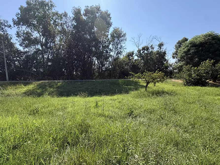 Immagine 8 di Appartamento in vendita  in Strada CAPO DEI BUFALI, 1 a Terracina