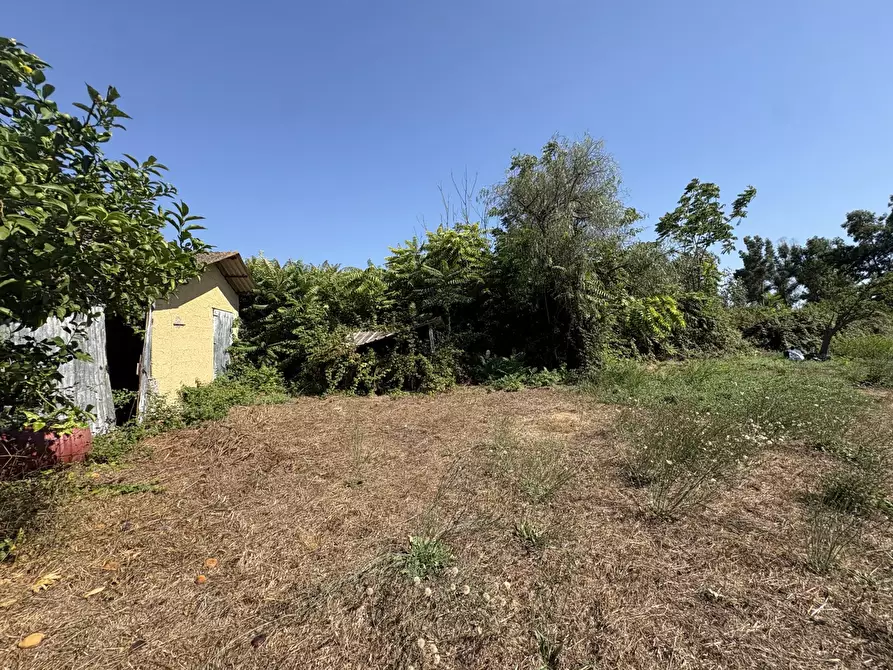 Immagine 21 di Appartamento in vendita  in Strada CAPO DEI BUFALI, 1 a Terracina