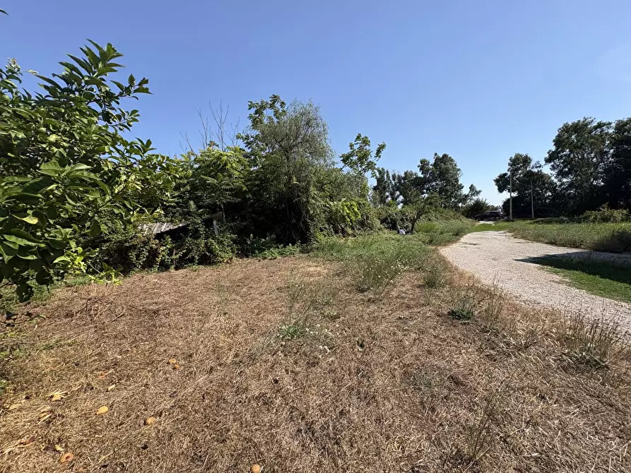 Immagine 20 di Appartamento in vendita  in Strada CAPO DEI BUFALI, 1 a Terracina
