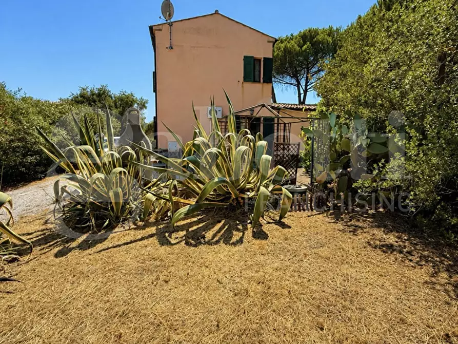 Immagine 4 di Casa indipendente in vendita  in Via DEL LENTISCO a Campo Nell'elba