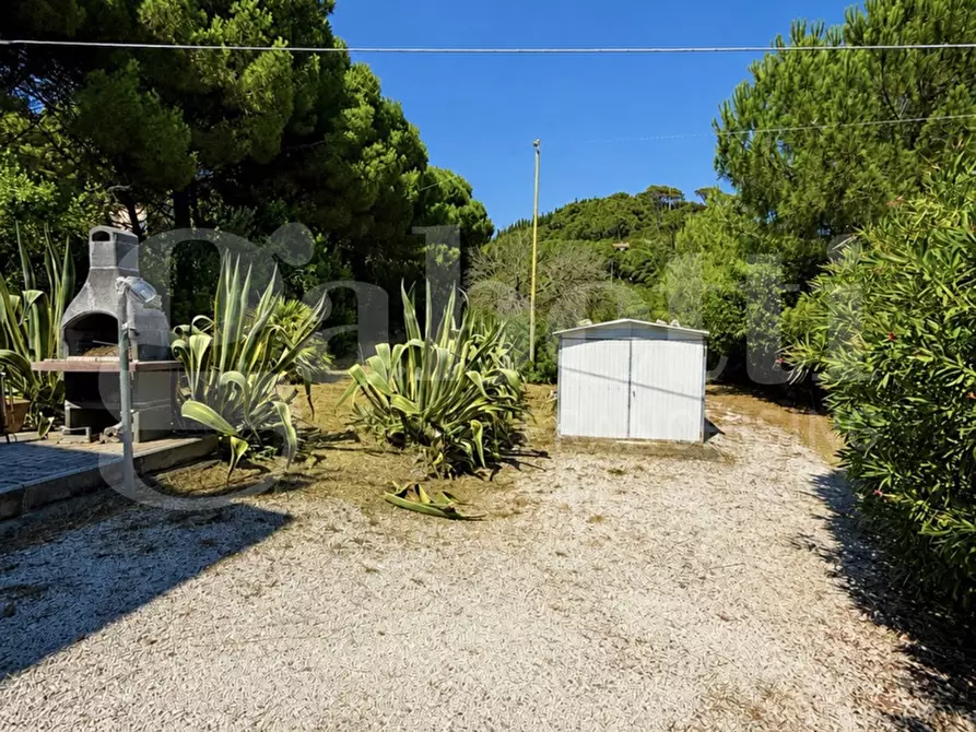 Immagine 5 di Casa indipendente in vendita  in Via DEL LENTISCO a Campo Nell'elba