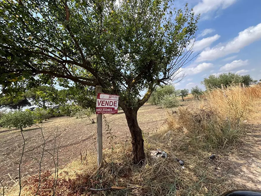 Immagine 2 di Terreno agricolo in vendita  in Contrada CICERO BIANCO a San Severo