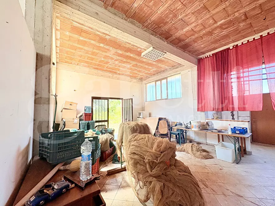 Immagine 34 di Villa in vendita  in Via Palianese Nord Loc. Terrignano, snc a Paliano