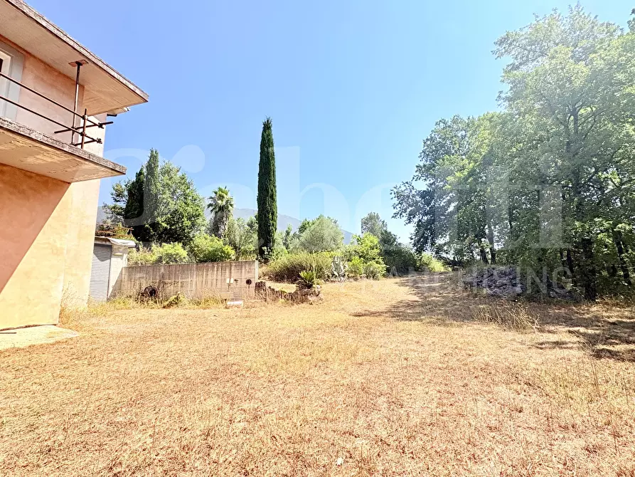 Immagine 4 di Villa in vendita  in Via Palianese Nord Loc. Terrignano, snc a Paliano