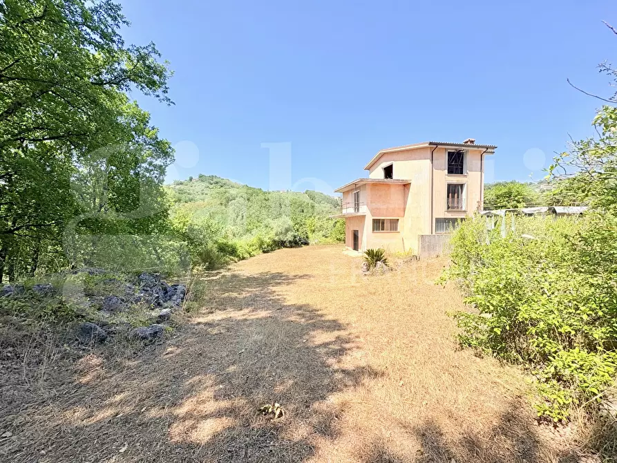 Immagine 1 di Villa in vendita  in Via Palianese Nord Loc. Terrignano, snc a Paliano