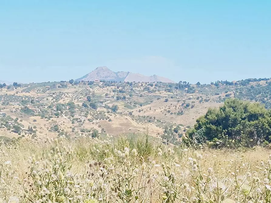 Immagine 3 di Terreno agricolo in vendita  in Contrada Lupo a Bolognetta