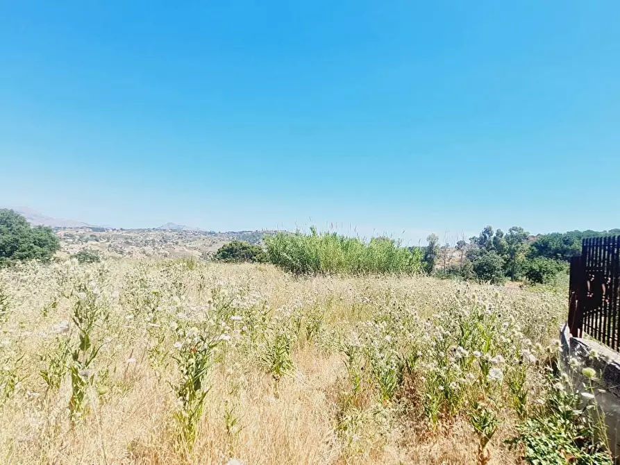 Immagine 5 di Terreno agricolo in vendita  in Contrada Lupo a Bolognetta