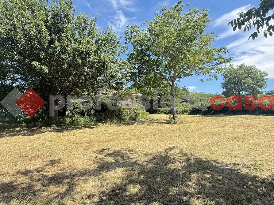 Immagine 17 di Appartamento in vendita  in Via Campo le Fraschette, scn a Alatri