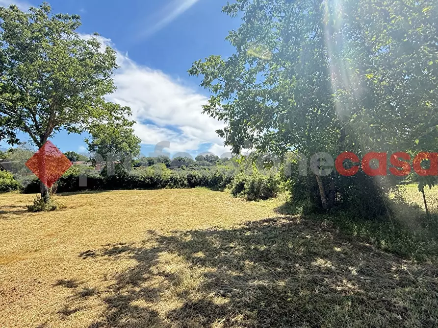 Immagine 18 di Appartamento in vendita  in Via Campo le Fraschette, scn a Alatri