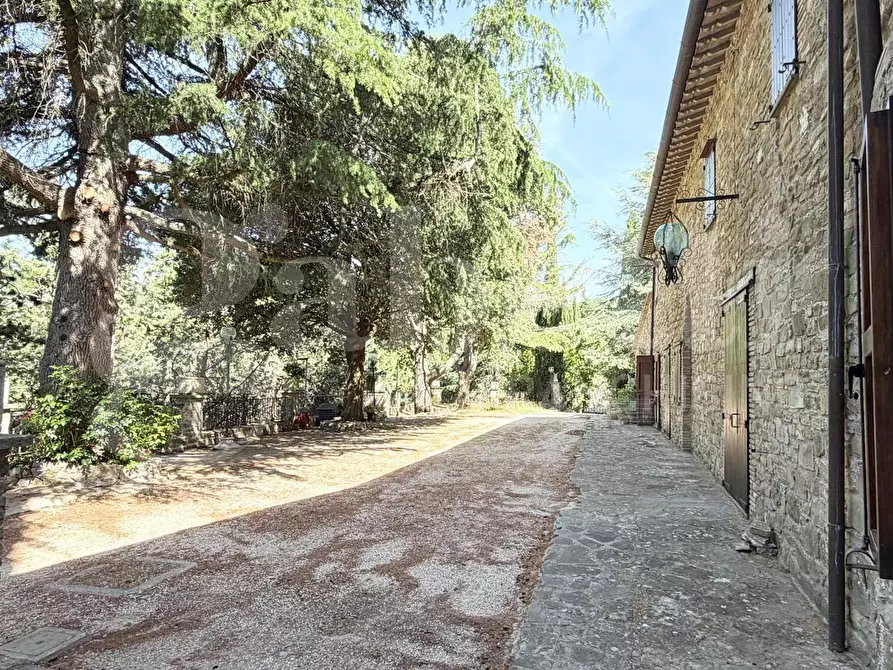Immagine 7 di Appartamento in vendita  in Via FRAZIONE PARADISO, 1 a Assisi