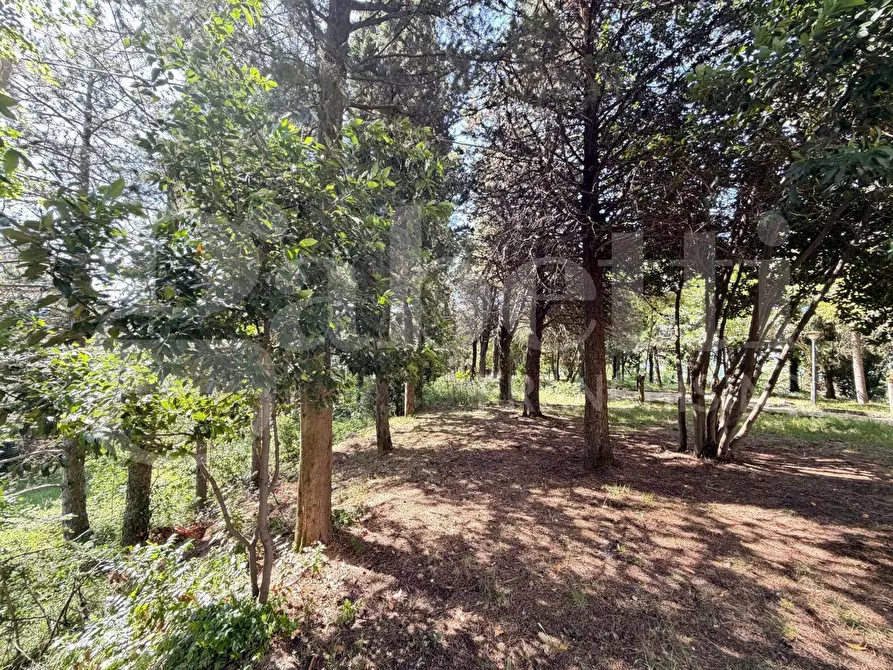 Immagine 18 di Appartamento in vendita  in Via FRAZIONE PARADISO, 1 a Assisi