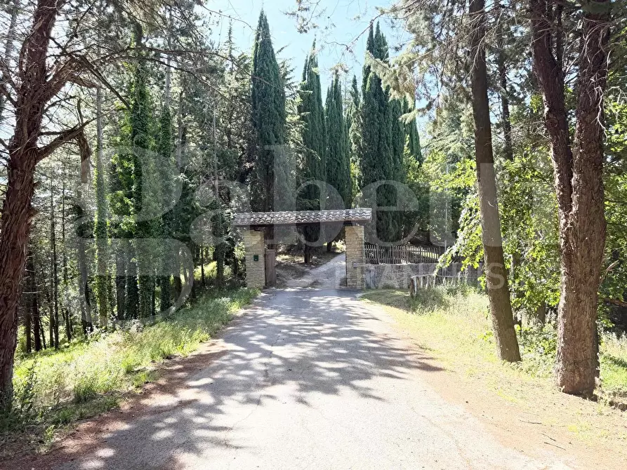 Immagine 3 di Appartamento in vendita  in Via FRAZIONE PARADISO, 1 a Assisi