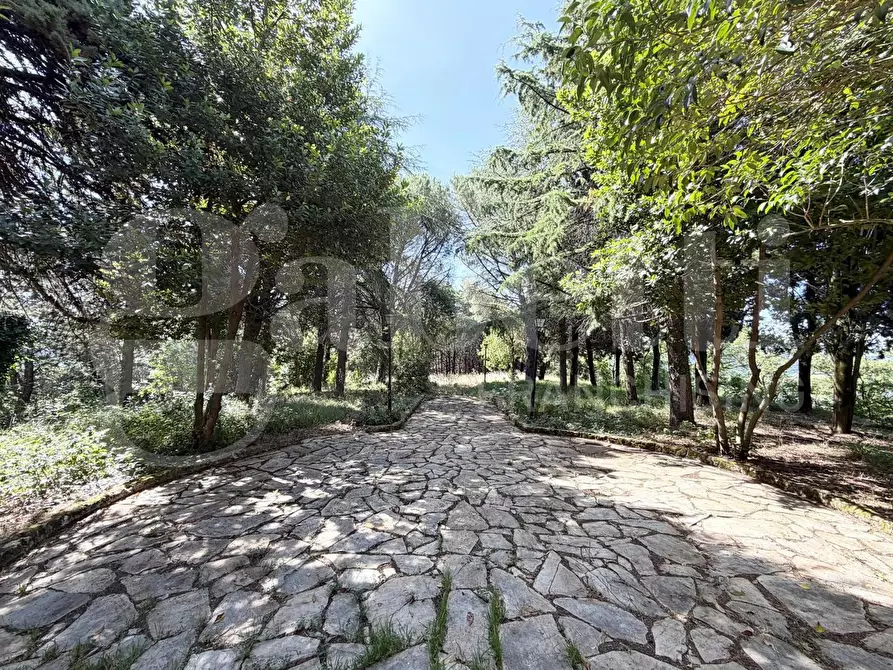 Immagine 5 di Appartamento in vendita  in Via FRAZIONE PARADISO, 1 a Assisi