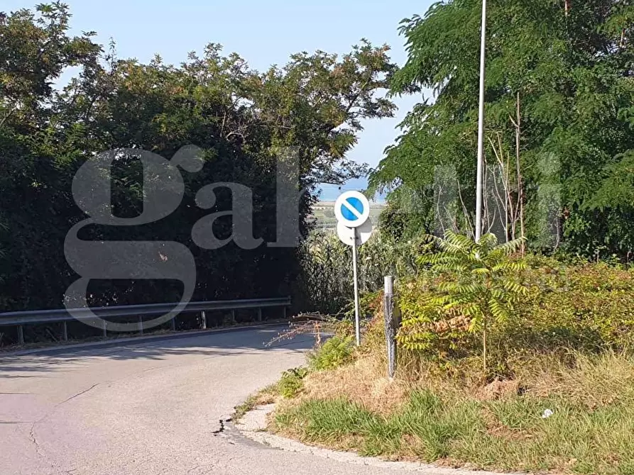 Immagine 5 di Terreno residenziale in vendita  in Via Mauro Pagano, snc a Colonnella