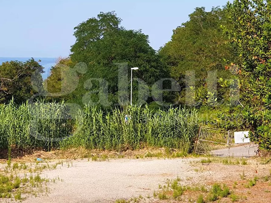 Immagine 1 di Terreno residenziale in vendita  in Via Mauro Pagano, snc a Colonnella