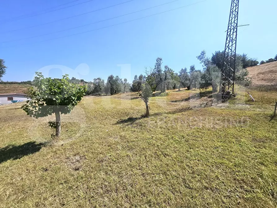 Immagine 5 di Rustico / casale in vendita  in Via poggiopiedi a Empoli