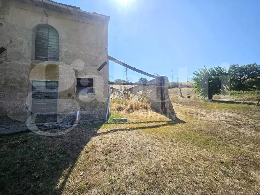 Immagine 2 di Rustico / casale in vendita  in Via poggiopiedi a Empoli