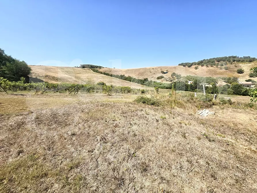 Immagine 1 di Rustico / casale in vendita  in Via poggiopiedi a Empoli