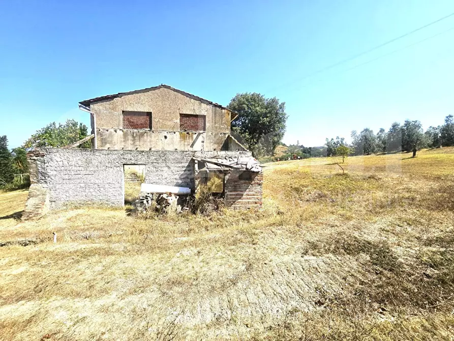 Immagine 3 di Rustico / casale in vendita  in Via poggiopiedi a Empoli