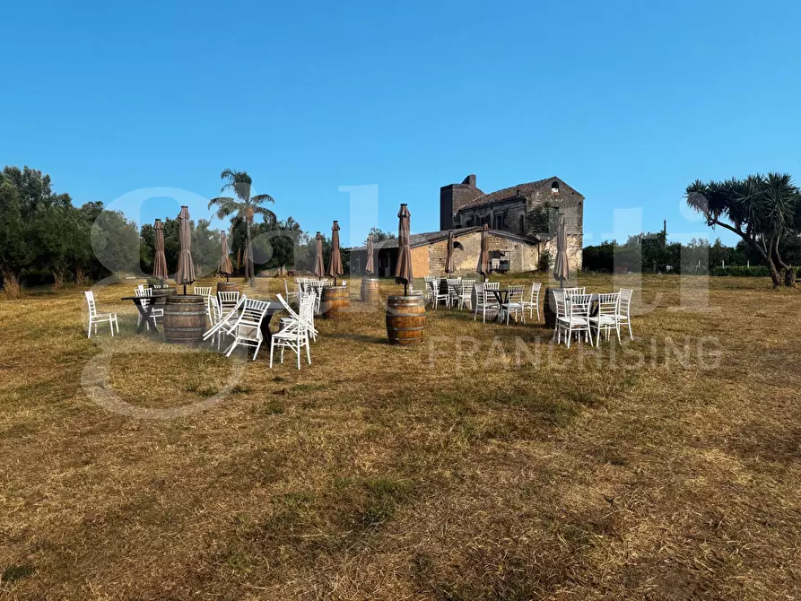 Immagine 7 di Azienda agricola in vendita  in LocalitÃ  Monticello a Pastorano