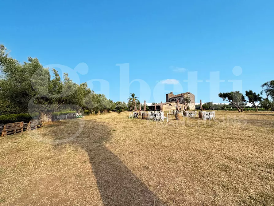 Immagine 18 di Azienda agricola in vendita  in LocalitÃ  Monticello a Pastorano