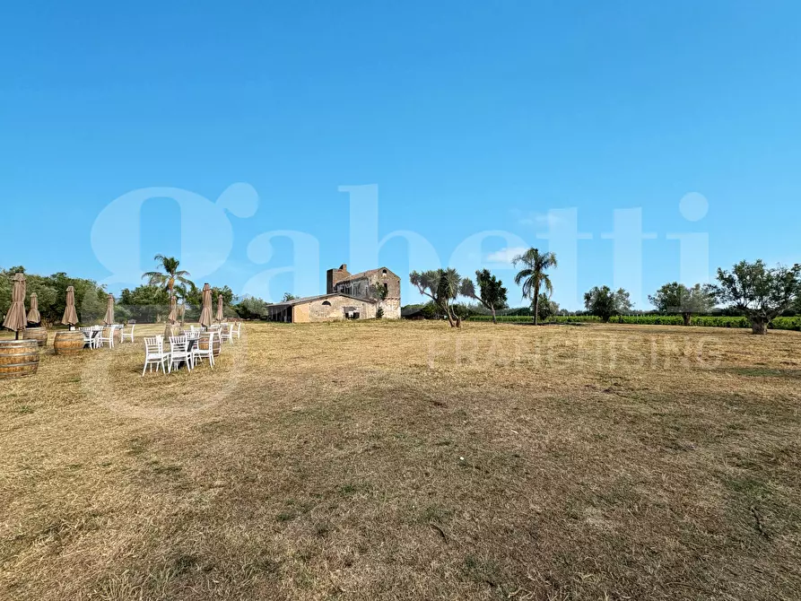 Immagine 11 di Azienda agricola in vendita  in LocalitÃ  Monticello a Pastorano
