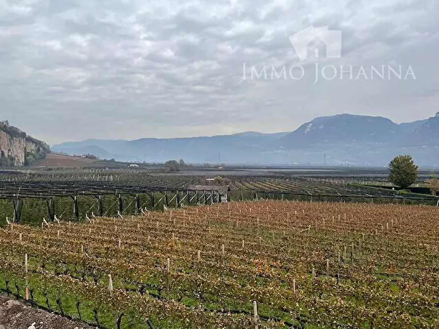 Immagine 1 di Appartamento in vendita  a Cortaccia Sulla Strada Del Vino .Kurtatsch A.