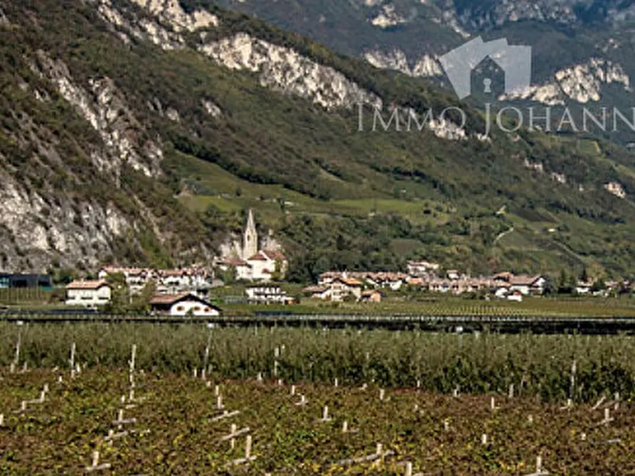 Immagine 1 di Appartamento in affitto  a Magre' Sulla Strada Del Vino .Margreid An De.