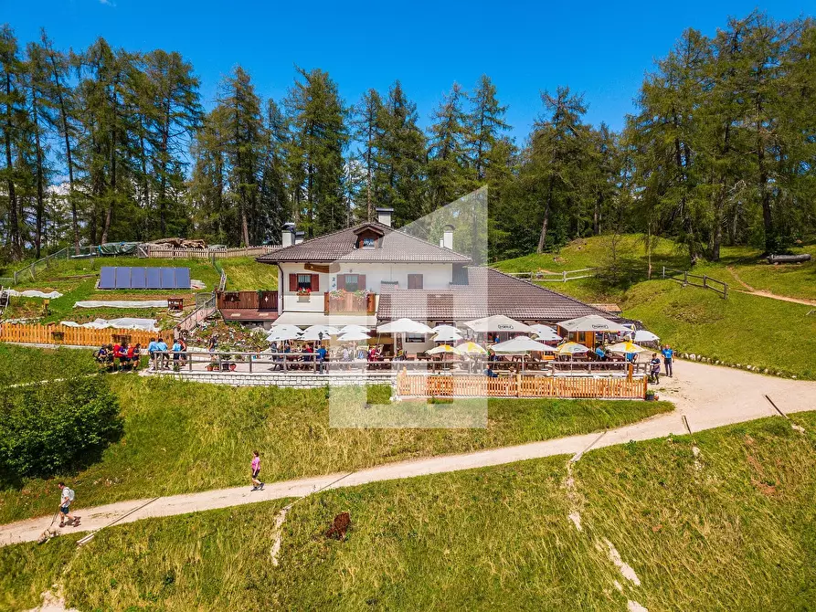 Immagine 1 di Bar / Ristorante in vendita  a Cavareno