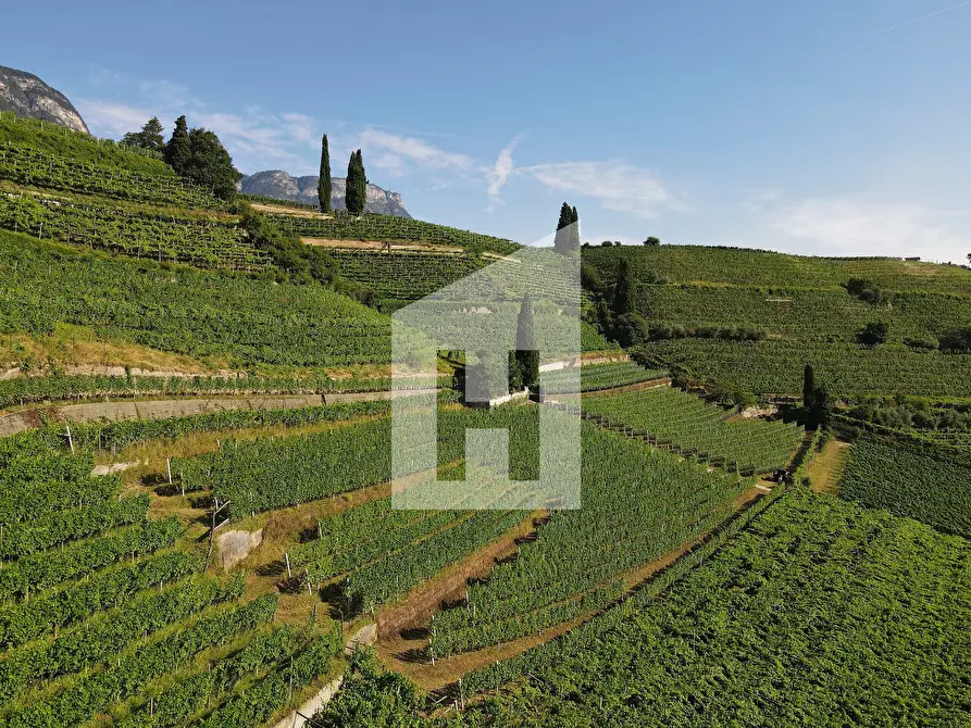 Immagine 4 di Terreno agricolo in vendita  a Caldaro Sulla Strada Del Vino .Kaltern An De.