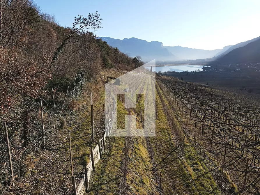 Immagine 3 di Terreno agricolo in vendita  a Caldaro Sulla Strada Del Vino .Kaltern An De.