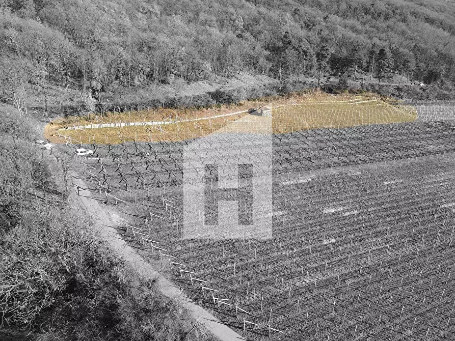 Immagine 2 di Terreno agricolo in vendita  a Caldaro Sulla Strada Del Vino .Kaltern An De.