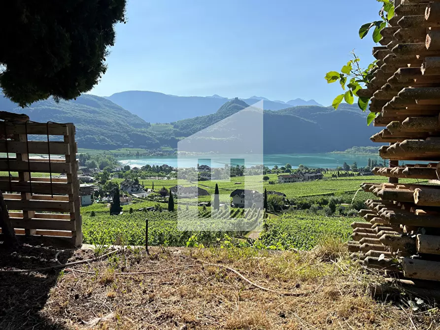 Immagine 9 di Terreno agricolo in vendita  a Caldaro Sulla Strada Del Vino .Kaltern An De.