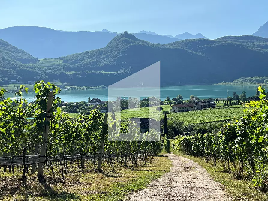 Immagine 10 di Terreno agricolo in vendita  a Caldaro Sulla Strada Del Vino .Kaltern An De.