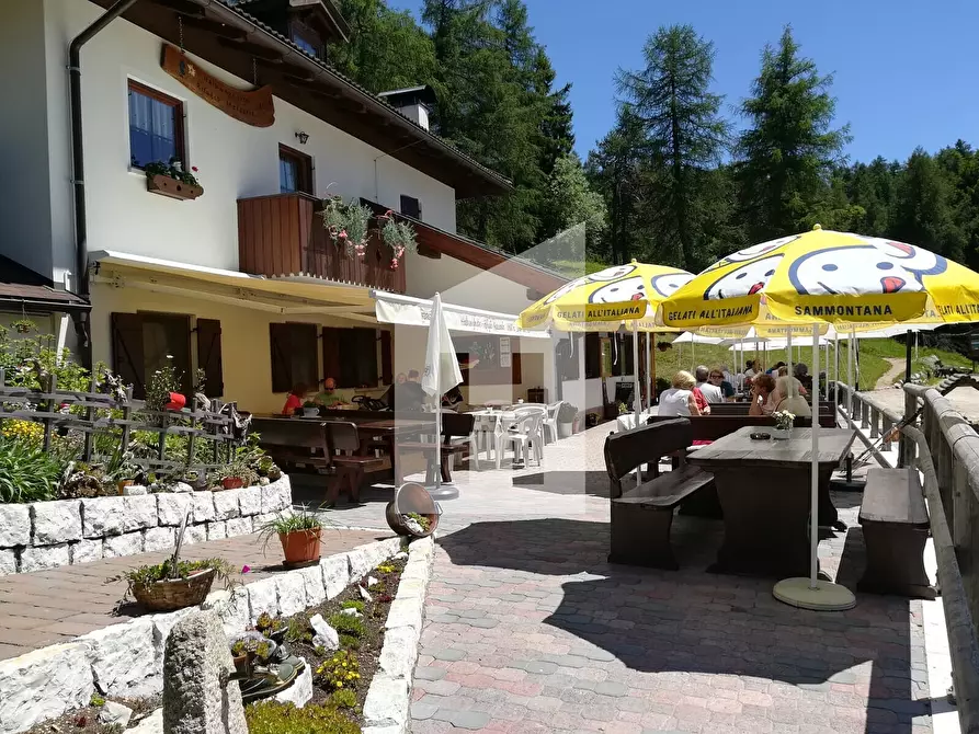 Immagine 5 di Bar / Ristorante in vendita  a Cavareno