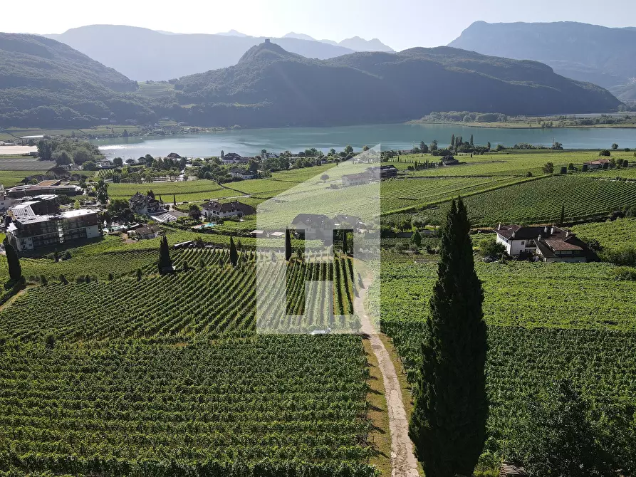 Immagine 3 di Terreno agricolo in vendita  a Caldaro Sulla Strada Del Vino .Kaltern An De.
