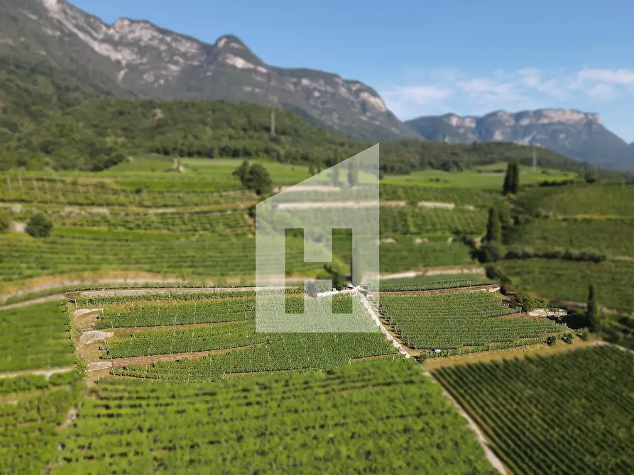 Immagine 2 di Terreno agricolo in vendita  a Caldaro Sulla Strada Del Vino .Kaltern An De.