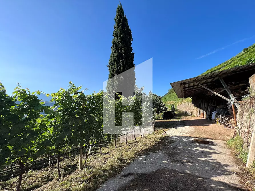 Immagine 6 di Terreno agricolo in vendita  a Caldaro Sulla Strada Del Vino .Kaltern An De.