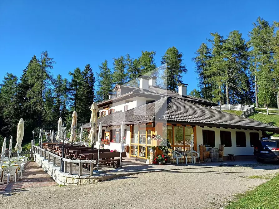 Immagine 2 di Bar / Ristorante in vendita  a Cavareno