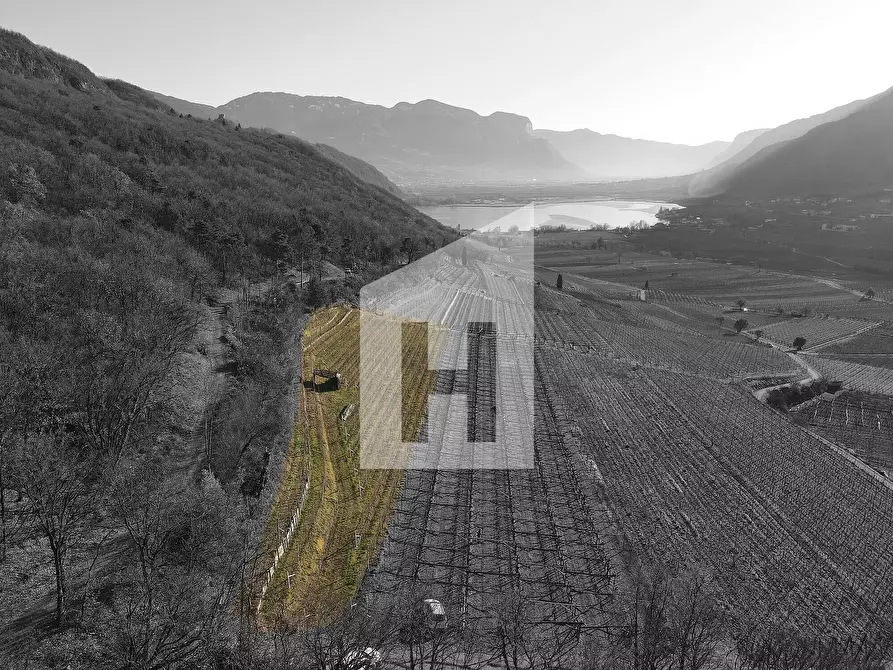 Immagine 1 di Terreno agricolo in vendita  a Caldaro Sulla Strada Del Vino .Kaltern An De.