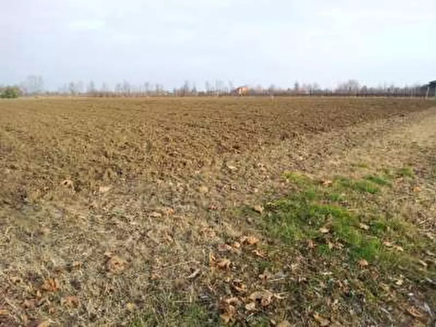 Immagine 1 di Terreno agricolo in vendita  a Sacile