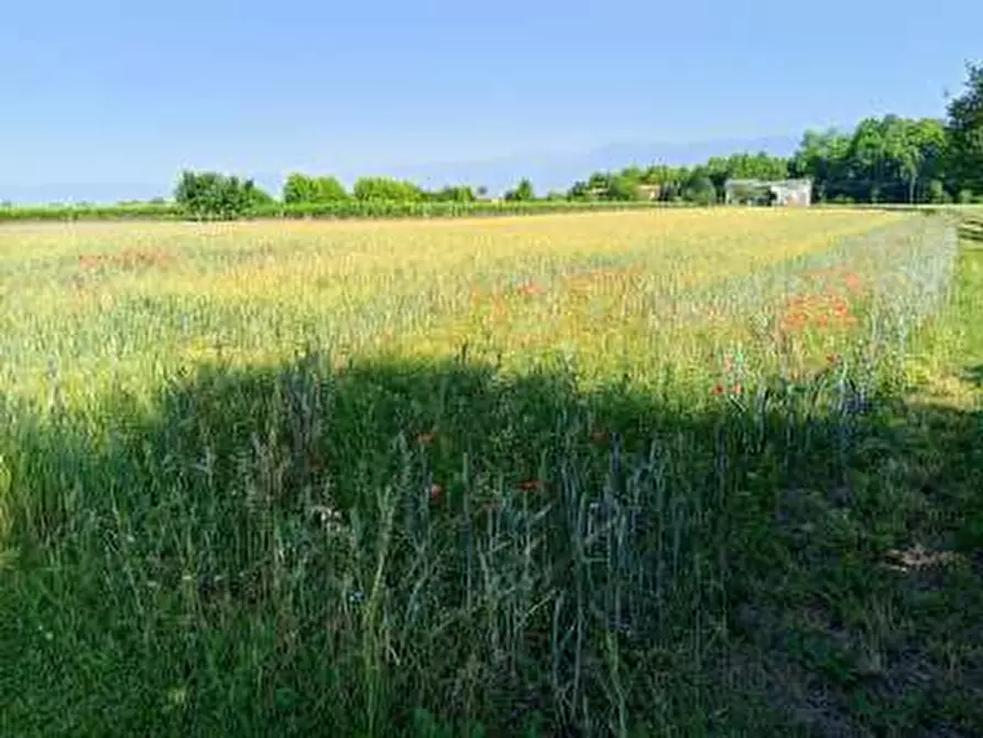 Immagine 3 di Terreno agricolo in vendita  a Gaiarine