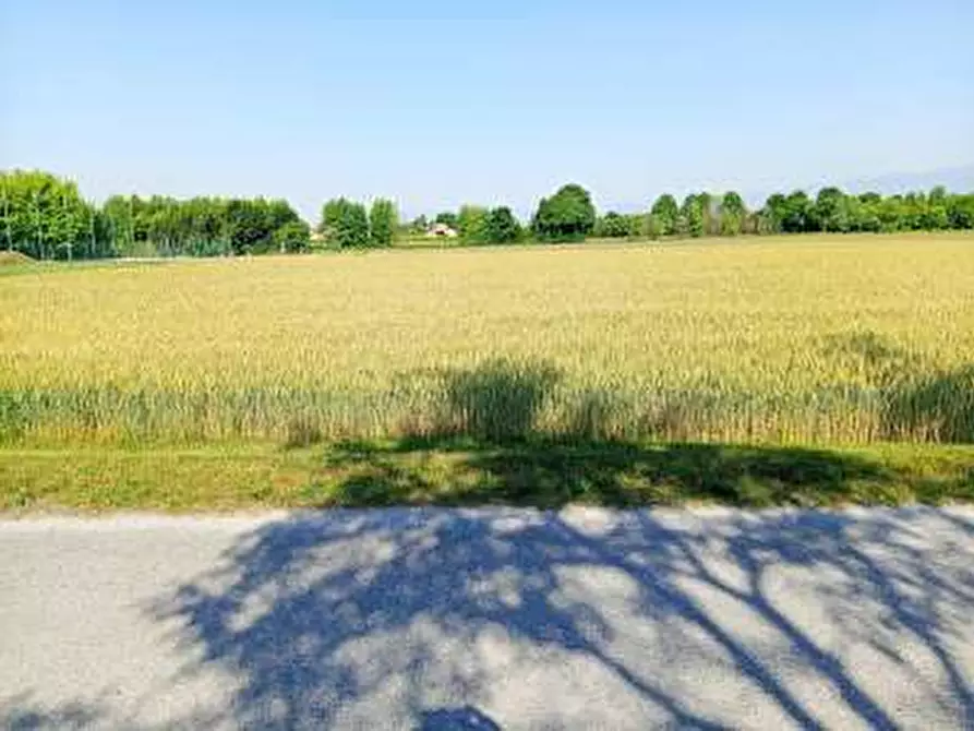 Immagine 4 di Terreno agricolo in vendita  a Gaiarine