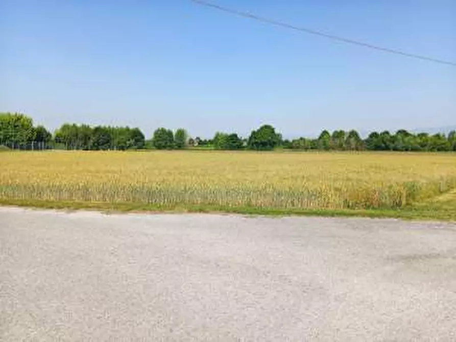 Immagine 1 di Terreno agricolo in vendita  a Gaiarine